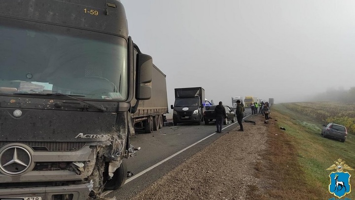 В Самарской области в массовом ДТП на М-5 погибли два человека