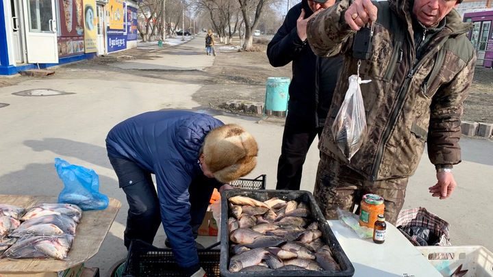 В Златоусте усиливают контроль за самоизоляцией