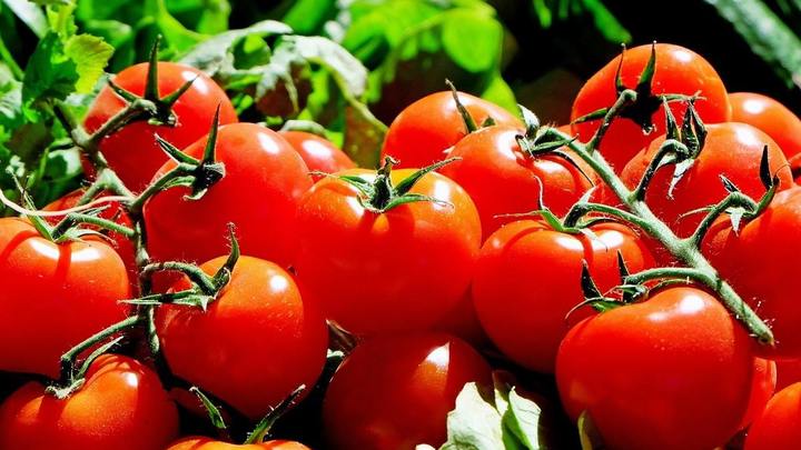 Производство тепличных овощей в Нижегородской области возросло вдвое – до 20,4 тысяч т