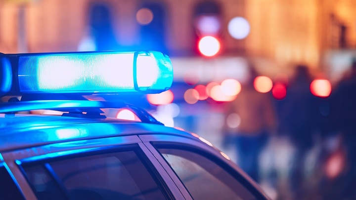Полиция Молдавии задержала более 50 преступных авторитетов из Украины
