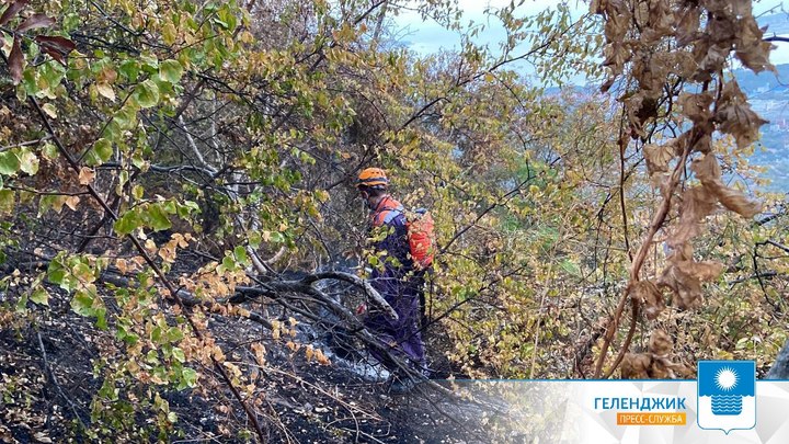 В Геленджике призвали горожан на масштабную уборку после пожара на Маркотхском хребте