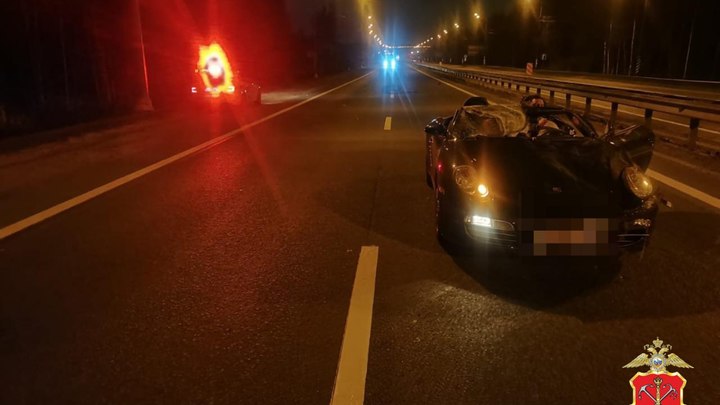 На трассе Кола в Ленобласти лось смял Porsche Boxster