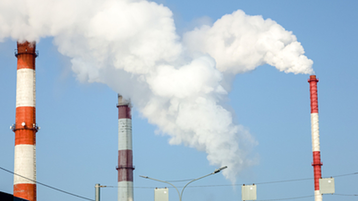 Углеродный кошелёк: Журналистка из Голландии разоблачила планы элиты Запада