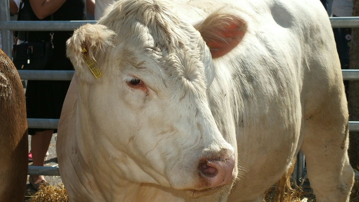 Какой праздник 31 декабря 2023 года: традиции и приметы