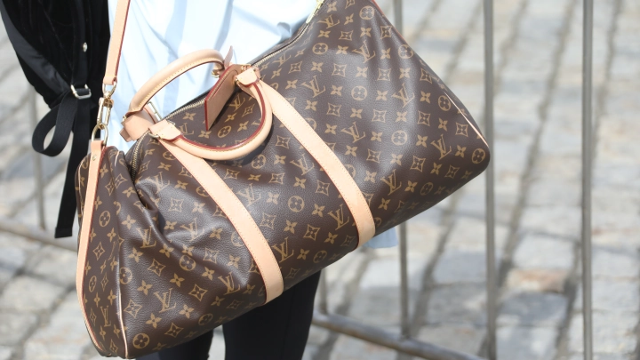 Вице-мэр Воронежа с люксовой сумкой упрекнула горожан в токсичности и неблагодарности