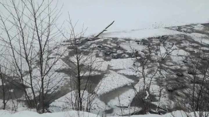 В Башкирии 200 баранов провалились под лед: это грозит экологической катастрофой