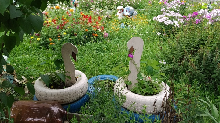 Жителей России предупредили о штрафах за лебедей из старых шин на клумбах