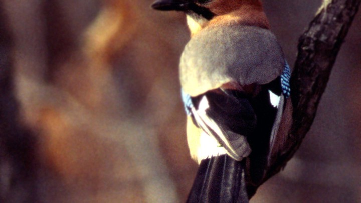 Какой праздник  11 декабря 2023 года: традиции и приметы