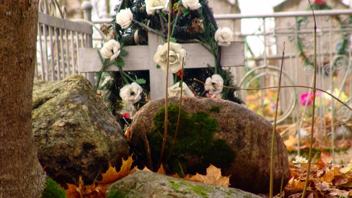 Глава Тимашевского района отреагировал на скандал с трупом женщины у здания администрации