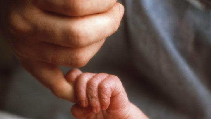 Суррогатные дети для китайцев: Источник подтвердил версию о торговле малышами в Москве