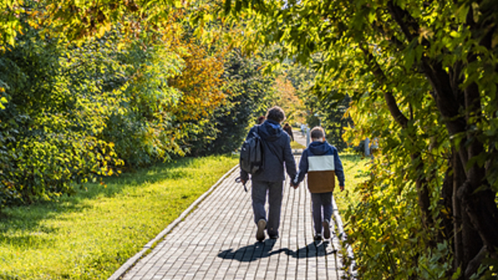 Укрепление института семьи в России: Наболевшие темы обсудят эксперты - задать вопрос может каждый