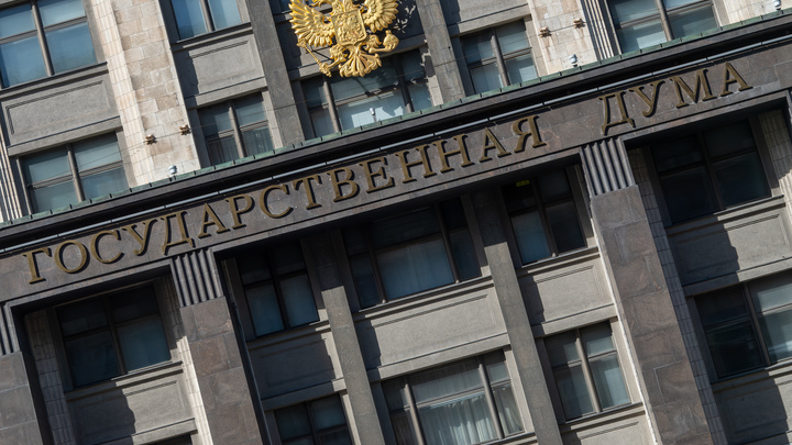 О печеньках Госдепа: Володин высказался о лишении гражданства для предателей