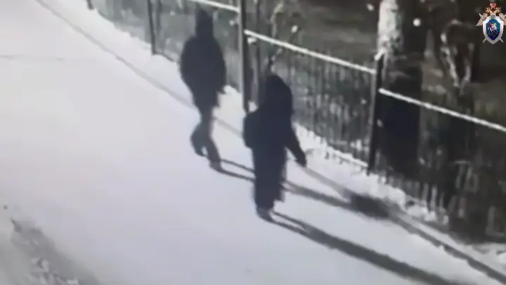 Вместе с похищенным в Красноярске подростком в такси сидела девушка