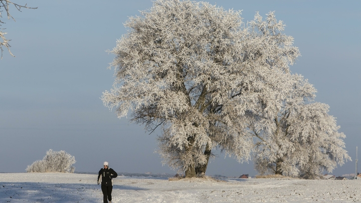 Никогда не забудем. В Петербурге состоится марафон в честь защитников блокадного Ленинграда