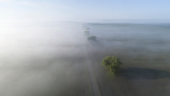 В Краснодарском крае 1 июля возможны дождь с грозой и туман