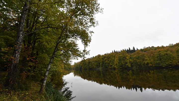 Энергетики Подмосковья борются с половодьем при помощи дронов