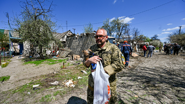 Власти Запорожской области снимут судимости за уклонение от службы в ВСУ