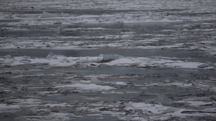 В Волгодонске рыбак провалился под лёд и погиб