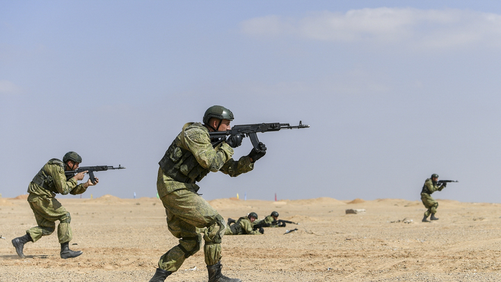 Этот кактус государство будет есть: Политический прогноз на 2022-й без купюр