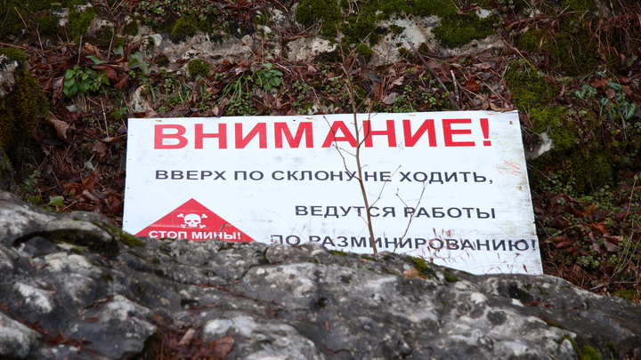 Рогов потребовал уничтожить боевиков ВСУ, отправивших пленных на минные поля