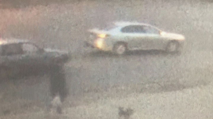 В Новосибирске ищут свидетелей ДТП: водитель сбил мальчика на пешеходном переходе и скрылся