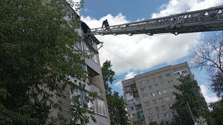 В Муроме из горящей квартиры спасатели вынесли мужчину на руках