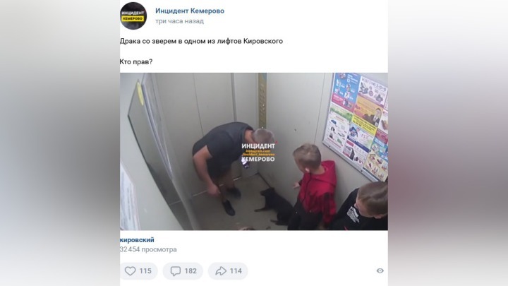 Агрессивный мужчина пнул чужую собаку в лифте в Кемерове