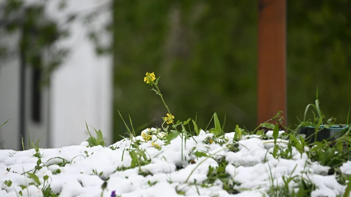 Городские службы Москвы перевели в режим повышенной готовности из-за непогоды