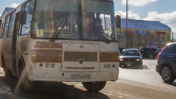 В Нижнем Новгороде уволили водителя и кондуктора маршрутки за высадку ребёнка