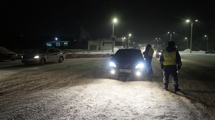 Пришлось стрелять: на сотрудников ДПС напал пьяный водитель