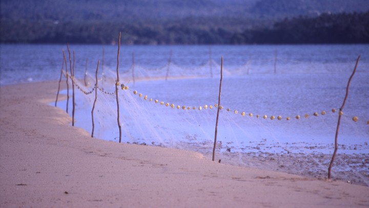 Браконьерам из Каневского района грозит два года тюрьмы за вылов рыбы на 760 тысяч рублей