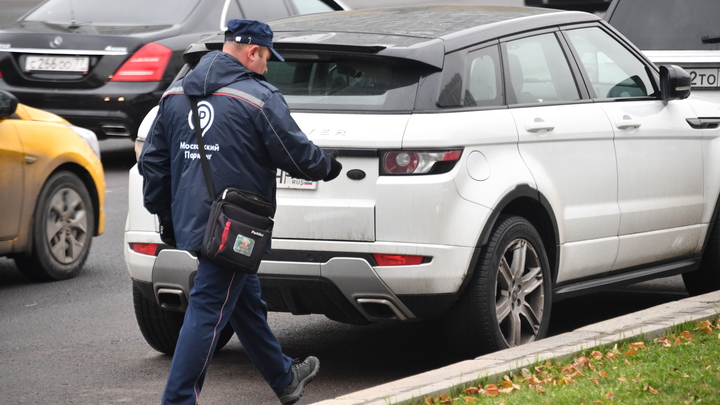 В подмосковном Одинцово участились кражи автомобильных номеров
