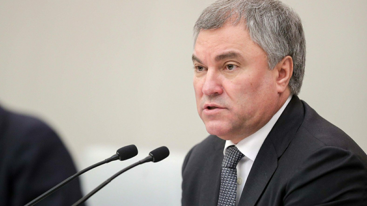 Dura lex, sed lex: Володин на латыни прокомментировал особый реестр для мигрантов