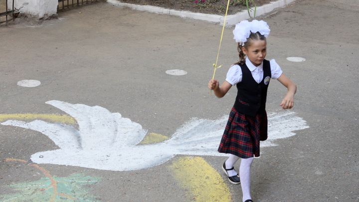 Где-то пусто, а где-то густо: в нескольких школах Краснодарского края за парты сядут по одному первокласснику