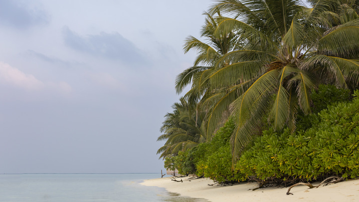 Русское консульство откроется на островах: Дипломаты будут жить на Мальдивах