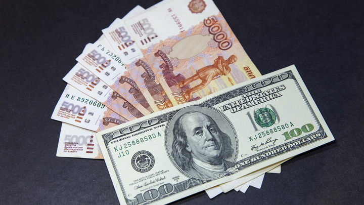 Сушим и продаём. Куда Россия сбывает отходы?