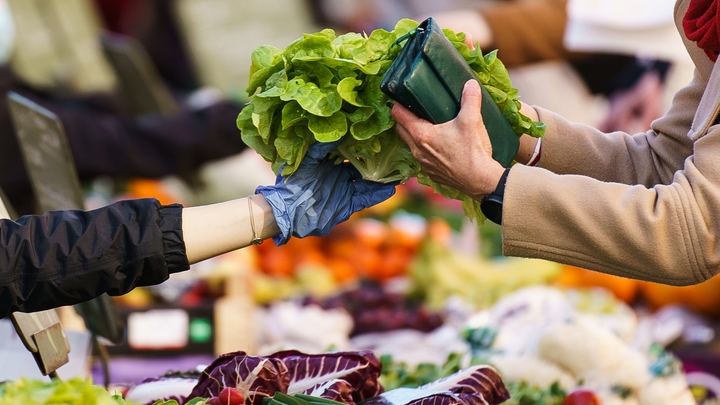 Эксперт объяснила, овощи какого цвета самые полезные: Всё испортит одна ошибка