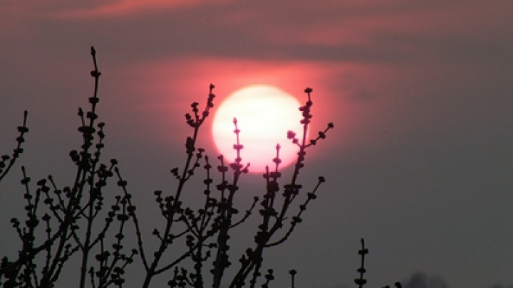 «Затемнят» Солнце: ученые проведут эксперимент за 5,5 млрд рублей