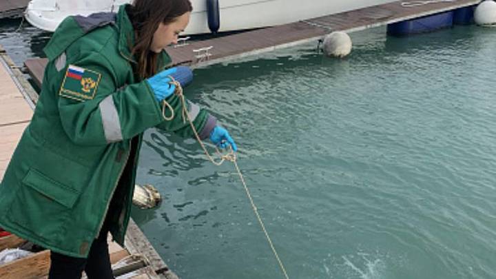 На собственника затонувшей в морпорту Сочи яхты возбуждено дело