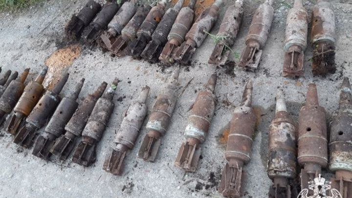 В Кузбассе грибник обнаружил танковые снаряды в лесополосе