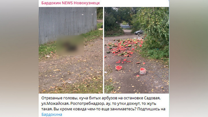 Отрезанные головы и битые арбузы посреди улицы напугали жителей Новокузнецка