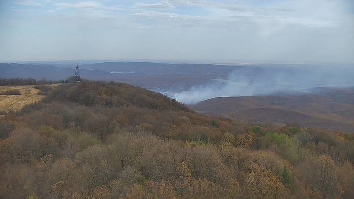 В Северском районе Кубани на рассвете загорелась сухая трава в лесу