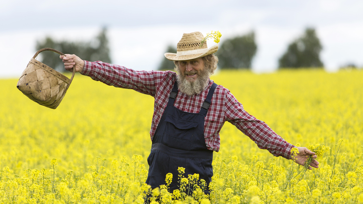 PNAS: ученые назвали продукты, которые могут улучшить память