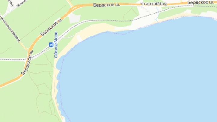 Центральный пляж новосибирского Академгородка обсудили на воркшопе