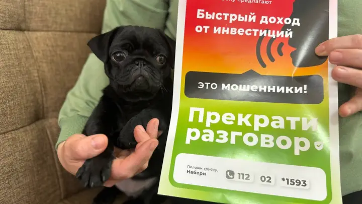 Челябинцам угрожают изъятием домашних животных