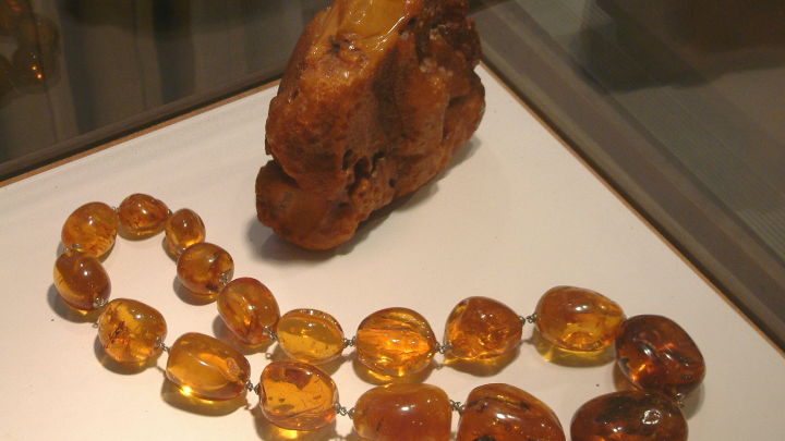 Янтарный гигант Рекордсмен: под Калининградом нашли камень весом более 2 кг Янтарный гигант Рекордсмен: под Калининградом нашли камень весом более 2 кг