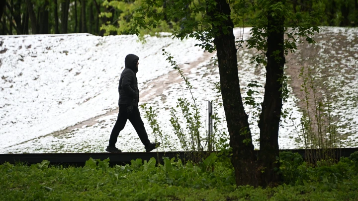 Аномальное тепло в Москве сменится снегом в середине ноября