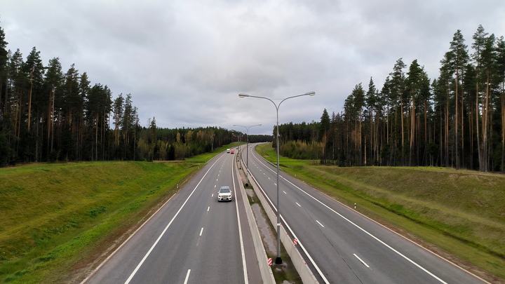 Рогатые устроили 50 ДТП в Челябинской области