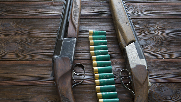 Отец не успел совсем чуть-чуть: Записка девочки с дробовиком из Брянска уже не хранит тайн