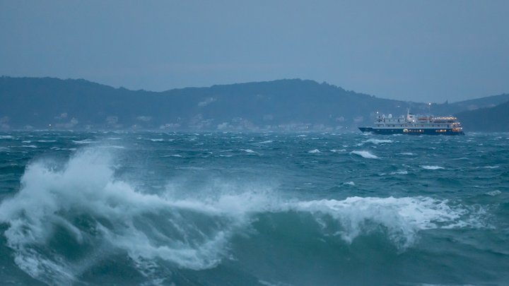 Гигантская предвестница катастроф: В Адриатике нашли четыре рыбы Судного дня